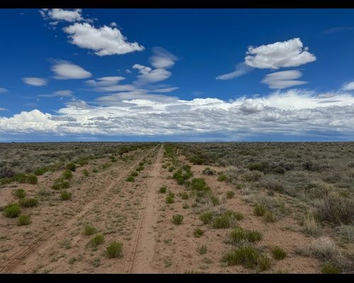 4.66-Acres Near Rio Grande River in Colorado